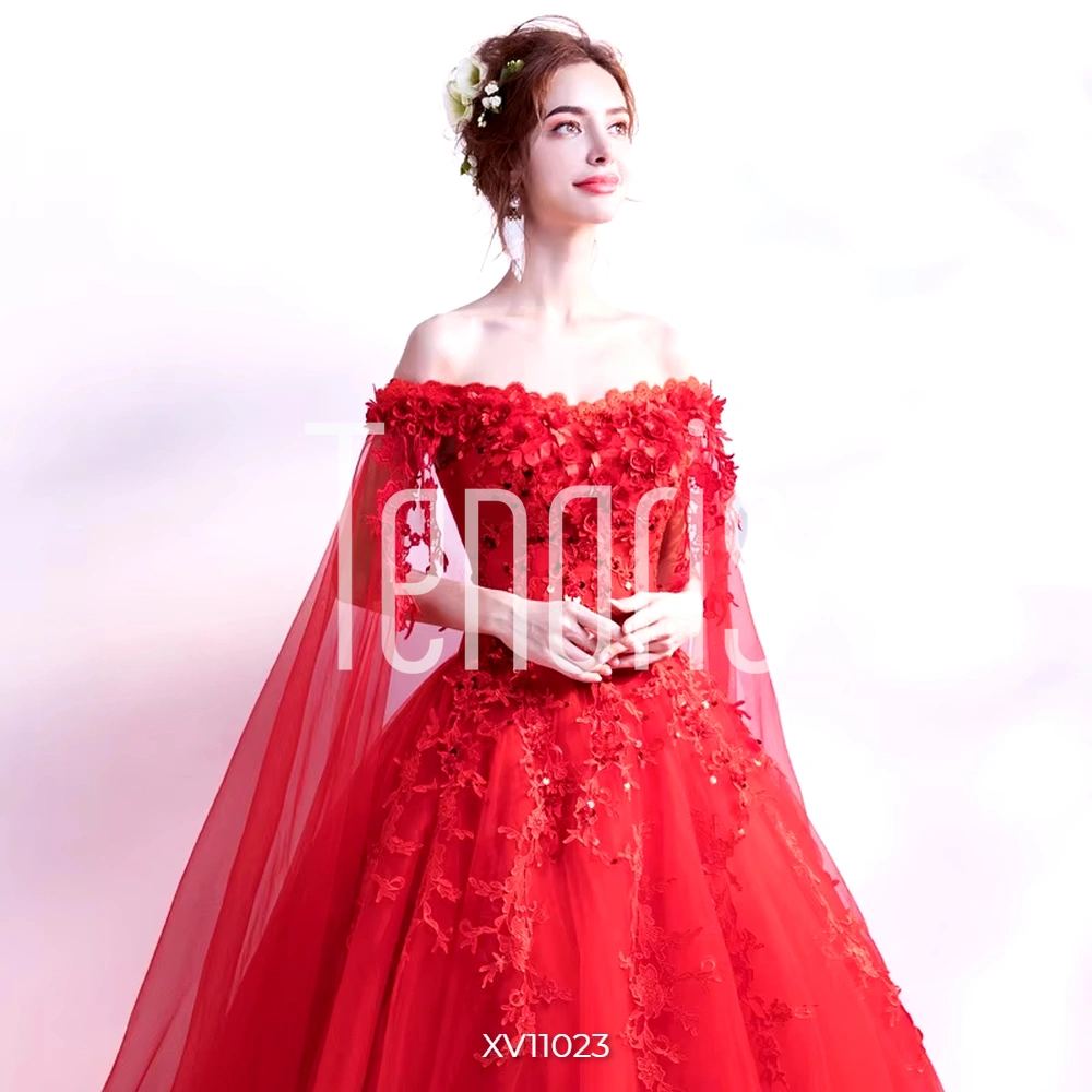 Vestido de Quinceañera foto 4