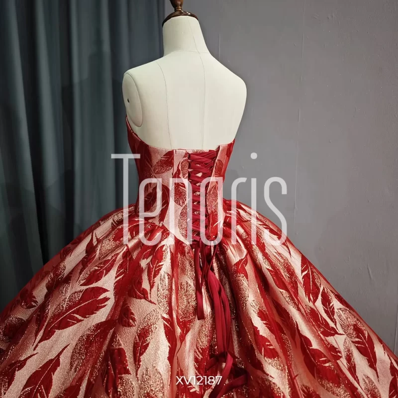 Vestido de Quinceañera - Image 5